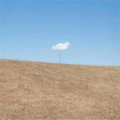 4949澳门免费资料大全app下载